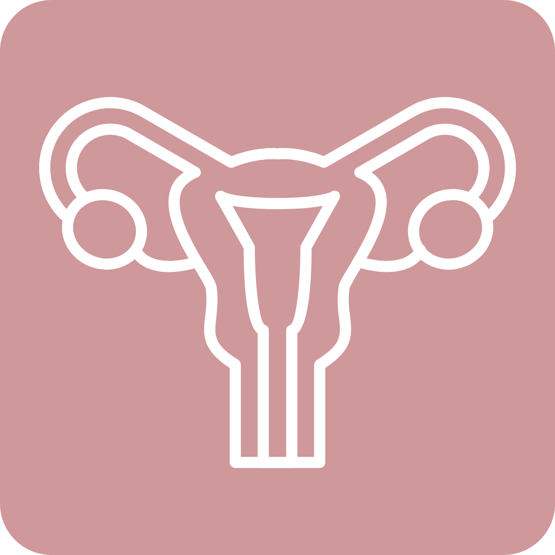 &Iacute;cone de ginecologia &ndash; cuidado da sa&uacute;de da mulher em todas as fases