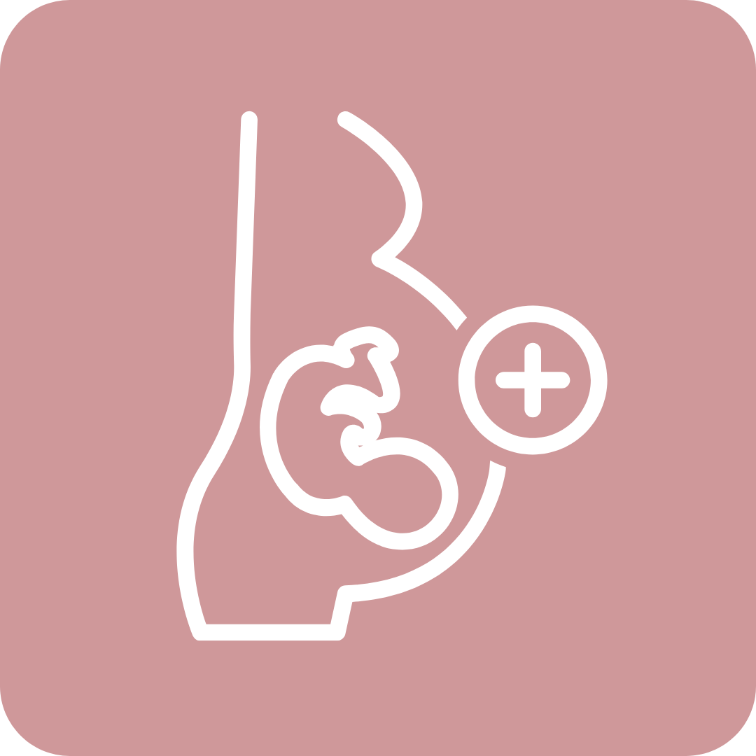 &Iacute;cone de obstetr&iacute;cia &ndash; acompanhamento da gesta&ccedil;&atilde;o e do parto