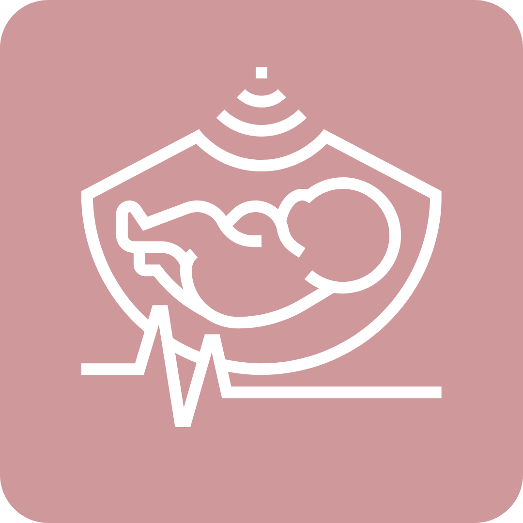 &Iacute;cone de ultrassom morfol&oacute;gico &ndash; exame detalhado da anatomia fetal